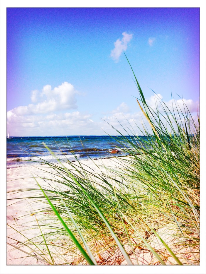 2017-07-31 10.22.38-3