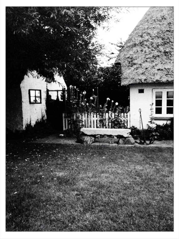 Foto 08.08.17, 14 42 28 (1)