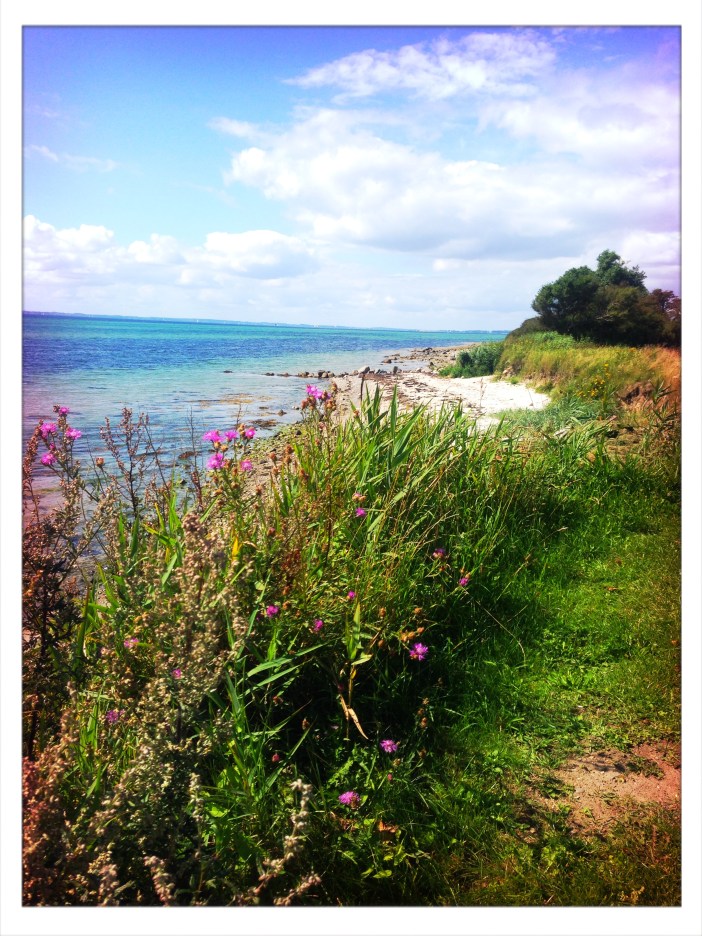 Foto 10.08.17, 12 47 52