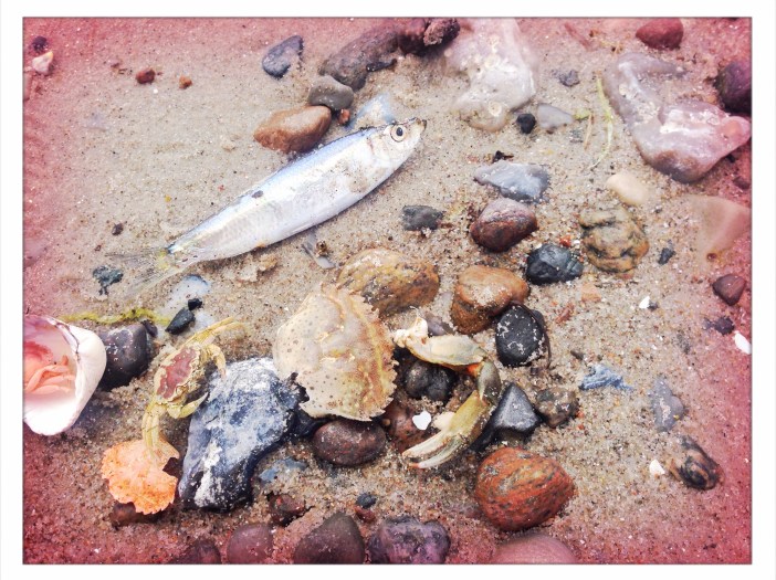 Foto 10.08.17, 15 29 32